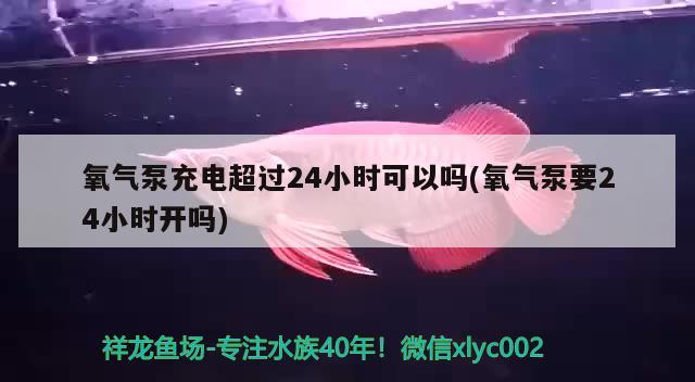 氧气泵充电超过24小时可以吗(氧气泵要24小时开吗) 梦幻雷龙鱼