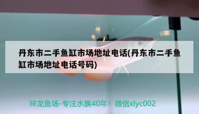 丹东市二手鱼缸市场地址电话(丹东市二手鱼缸市场地址电话号码) 观赏鱼企业目录