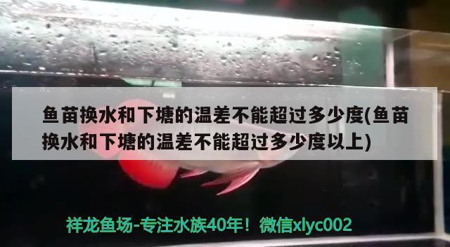 鱼苗换水和下塘的温差不能超过多少度(鱼苗换水和下塘的温差不能超过多少度以上)