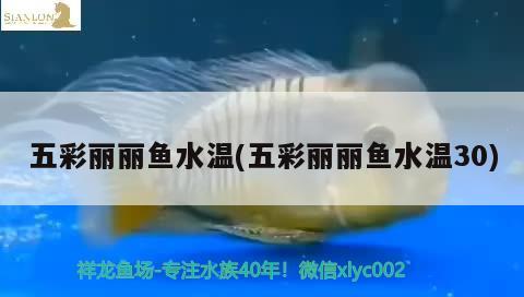 五彩丽丽鱼水温(五彩丽丽鱼水温30) 鱼缸/水族箱