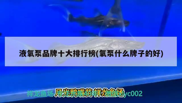 液氧泵品牌十大排行榜(氧泵什么牌子的好) 水族品牌