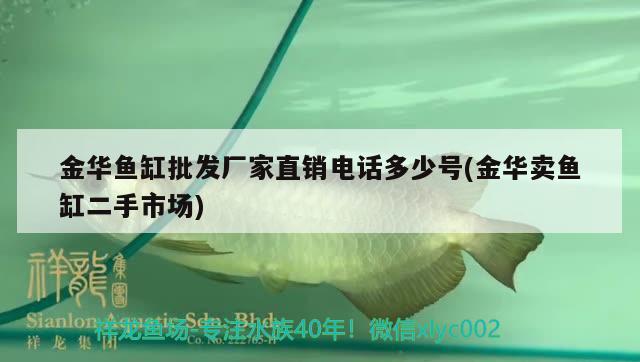 金华鱼缸批发厂家直销电话多少号(金华卖鱼缸二手市场) 赤焰中国虎鱼