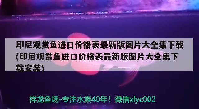 印尼观赏鱼进口价格表最新版图片大全集下载(印尼观赏鱼进口价格表最新版图片大全集下载安装)