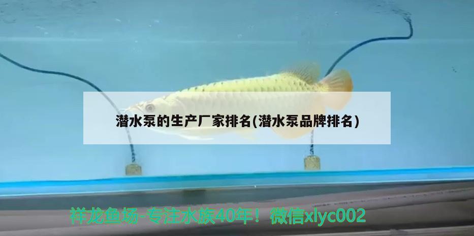 潜水泵的生产厂家排名(潜水泵品牌排名) 水族品牌