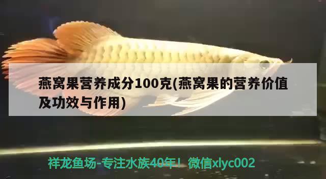 燕窝果营养成分100克(燕窝果的营养价值及功效与作用)