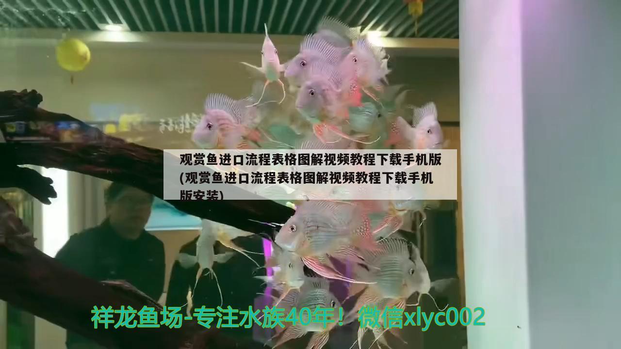 观赏鱼进口流程表格图解视频教程下载手机版(观赏鱼进口流程表格图解视频教程下载手机版安装)