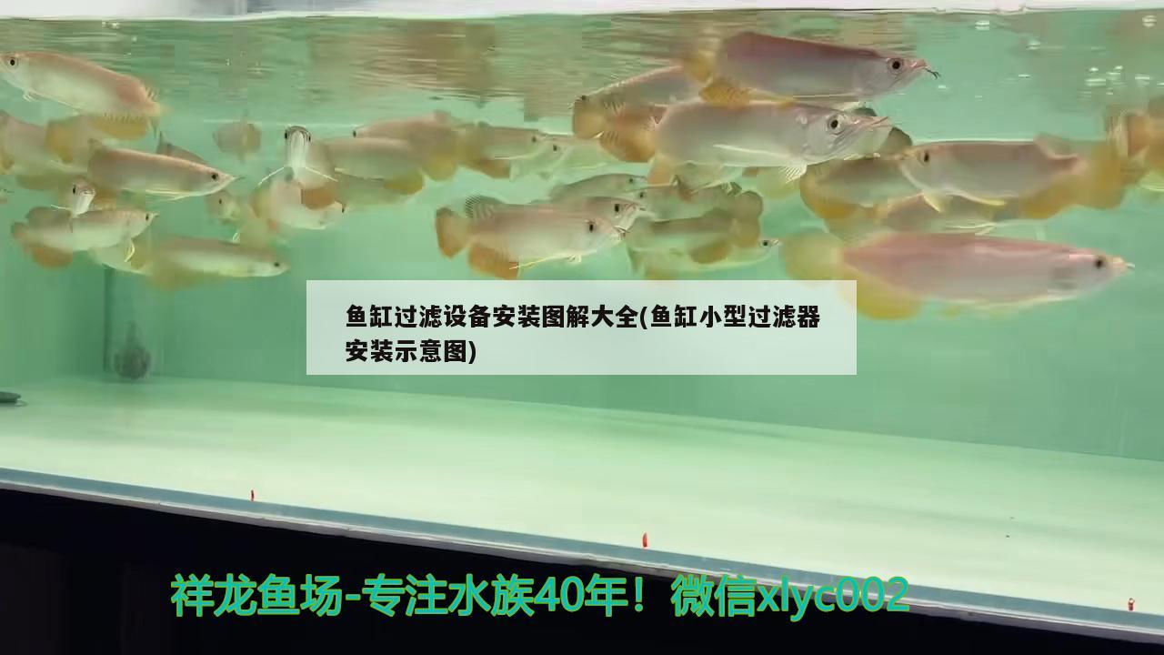 鱼缸过滤设备安装图解大全(鱼缸小型过滤器安装示意图) 过滤设备