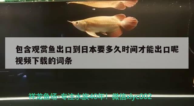 包含观赏鱼出口到日本要多久时间才能出口呢视频下载的词条 观赏鱼进出口