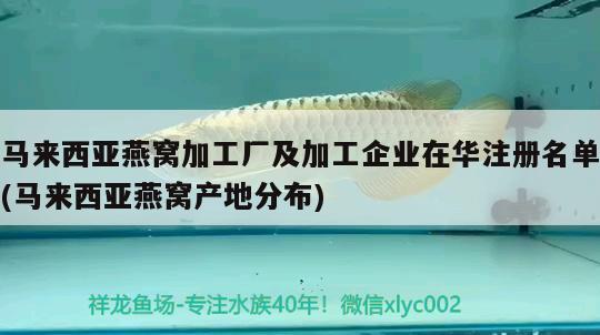 马来西亚燕窝加工厂及加工企业在华注册名单(马来西亚燕窝产地分布)