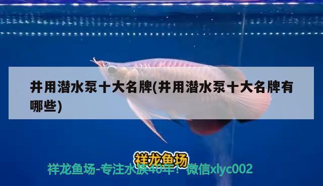 井用潜水泵十大名牌(井用潜水泵十大名牌有哪些) 祥龙水族护理水