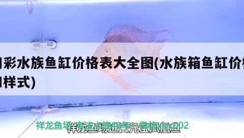 幻彩水族鱼缸价格表大全图(水族箱鱼缸价格和样式) 鱼缸/水族箱