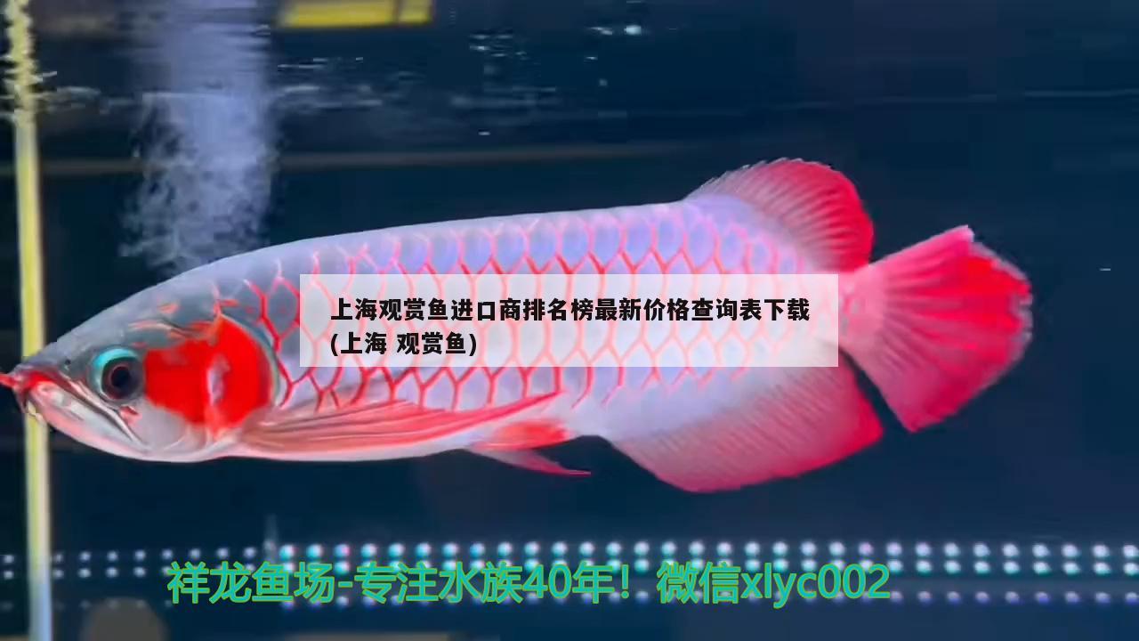 上海观赏鱼进口商排名榜最新价格查询表下载(上海观赏鱼) 观赏鱼进出口