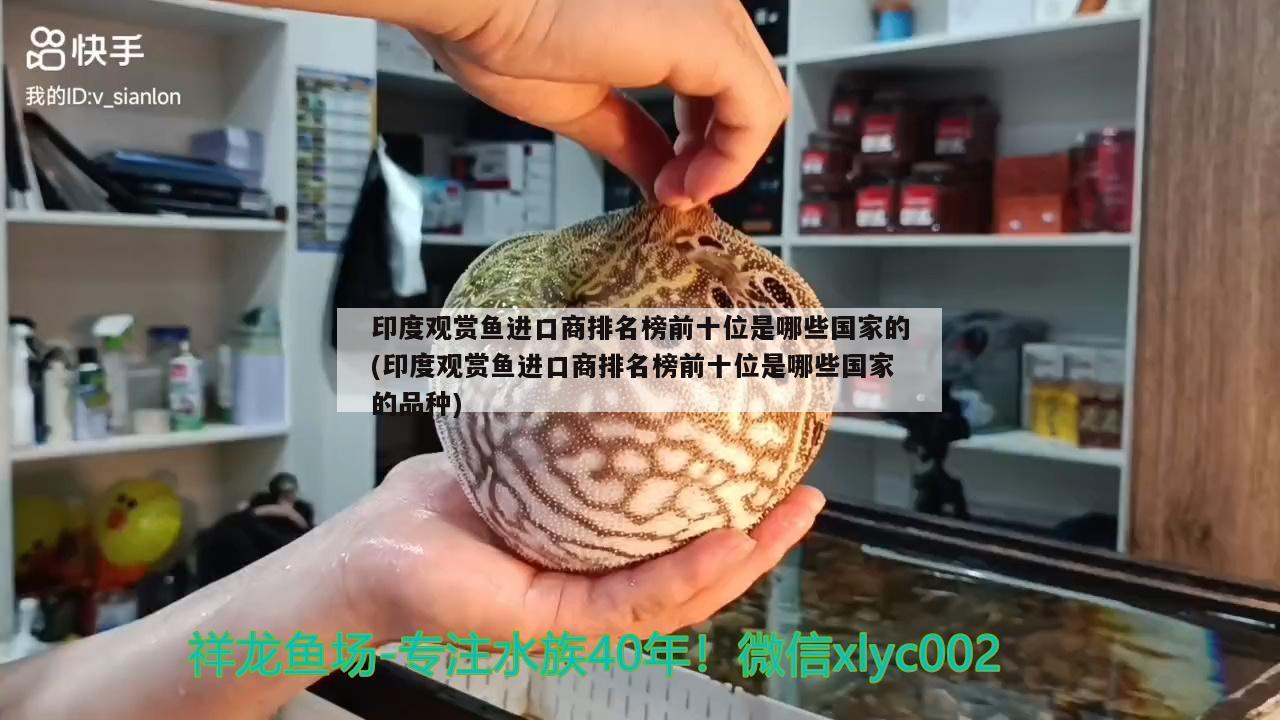 印度观赏鱼进口商排名榜前十位是哪些国家的(印度观赏鱼进口商排名榜前十位是哪些国家的品种) 观赏鱼进出口