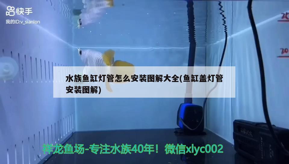 水族鱼缸灯管怎么安装图解大全(鱼缸盖灯管安装图解) 鱼粮鱼药