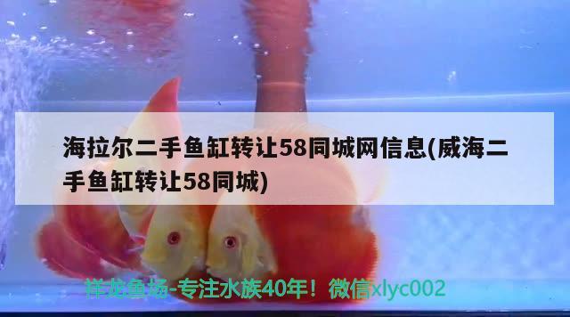 海拉尔二手鱼缸转让58同城网信息(威海二手鱼缸转让58同城)