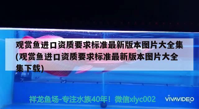 观赏鱼进口资质要求标准最新版本图片大全集(观赏鱼进口资质要求标准最新版本图片大全集下载)