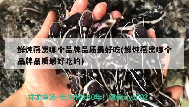 鲜炖燕窝哪个品牌品质最好吃(鲜炖燕窝哪个品牌品质最好吃的)