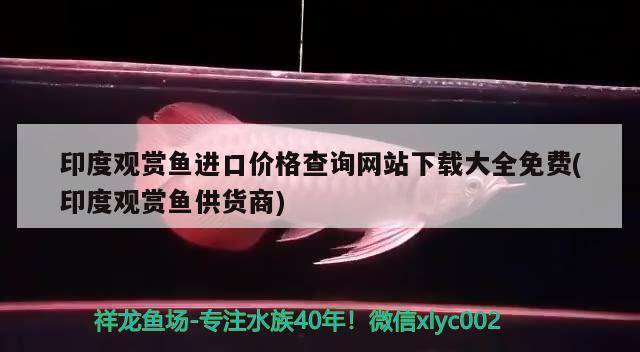 印度观赏鱼进口价格查询网站下载大全免费(印度观赏鱼供货商) 观赏鱼进出口