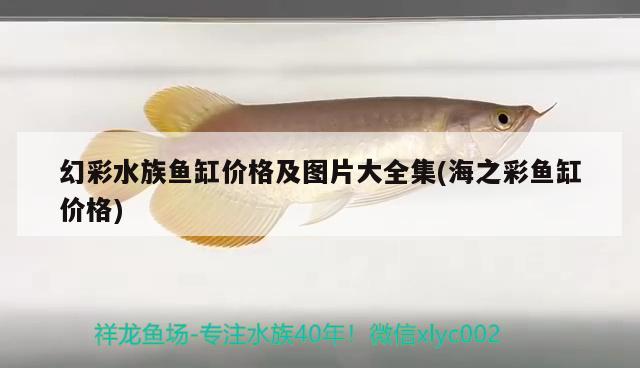 幻彩水族鱼缸价格及图片大全集(海之彩鱼缸价格) 广州观赏鱼鱼苗批发市场