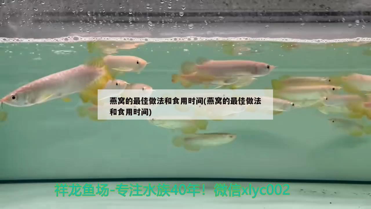 燕窝的最佳做法和食用时间(燕窝的最佳做法和食用时间) 马来西亚燕窝