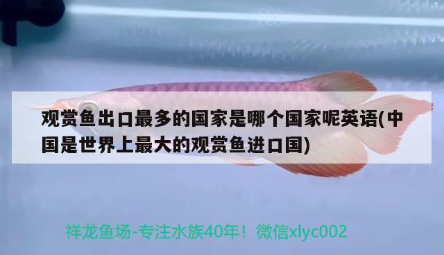 观赏鱼出口最多的国家是哪个国家呢英语(中国是世界上最大的观赏鱼进口国)