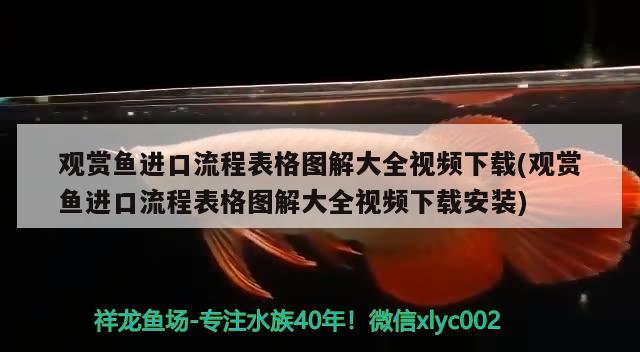 观赏鱼进口流程表格图解大全视频下载(观赏鱼进口流程表格图解大全视频下载安装)