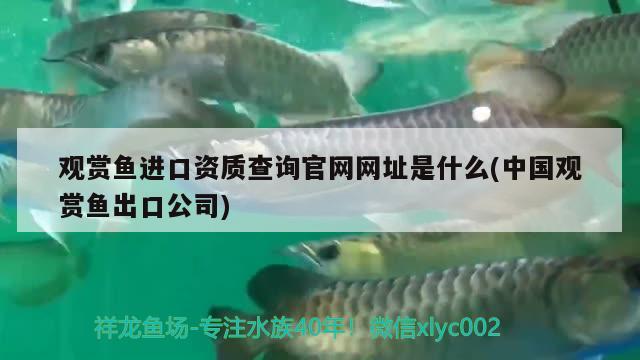 观赏鱼进口资质查询官网网址是什么(中国观赏鱼出口公司)