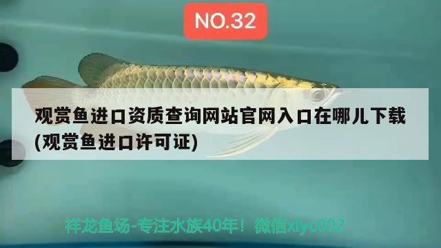 观赏鱼进口资质查询网站官网入口在哪儿下载(观赏鱼进口许可证)