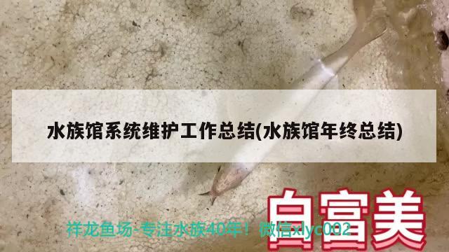 水族馆系统维护工作总结(水族馆年终总结)