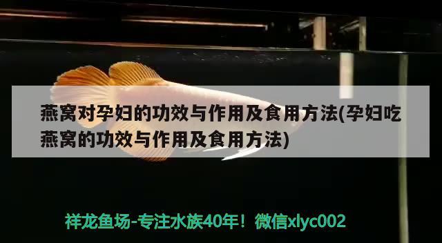 燕窝对孕妇的功效与作用及食用方法(孕妇吃燕窝的功效与作用及食用方法) 马来西亚燕窝