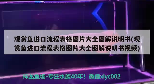 观赏鱼进口流程表格图片大全图解说明书(观赏鱼进口流程表格图片大全图解说明书视频)