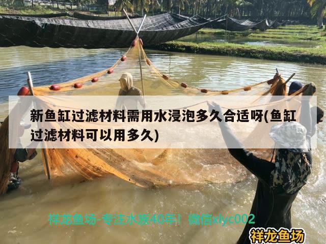 新鱼缸过滤材料需用水浸泡多久合适呀(鱼缸过滤材料可以用多久) 粗线银版鱼苗