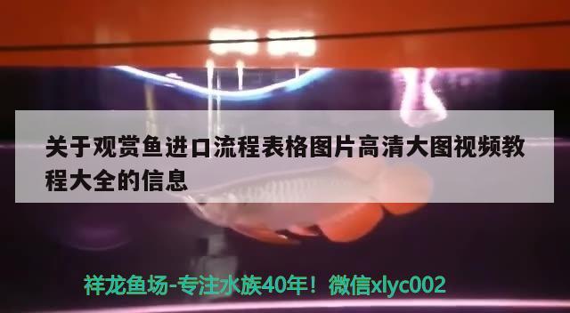 关于观赏鱼进口流程表格图片高清大图视频教程大全的信息