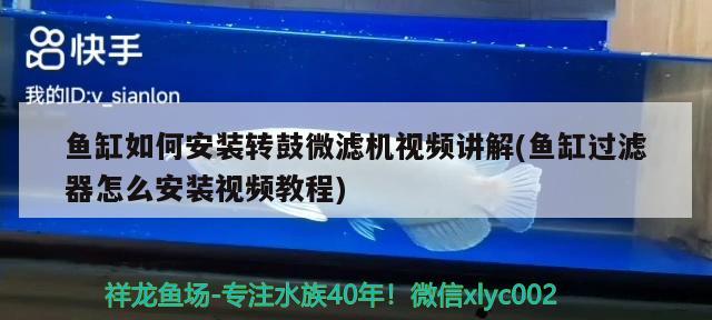 鱼缸如何安装转鼓微滤机视频讲解(鱼缸过滤器怎么安装视频教程) 蓝底过背金龙鱼