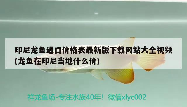 印尼龙鱼进口价格表最新版下载网站大全视频(龙鱼在印尼当地什么价)