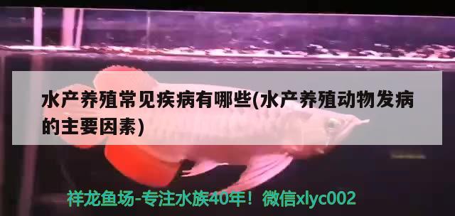 水产养殖常见疾病有哪些(水产养殖动物发病的主要因素) 古典过背金龙鱼