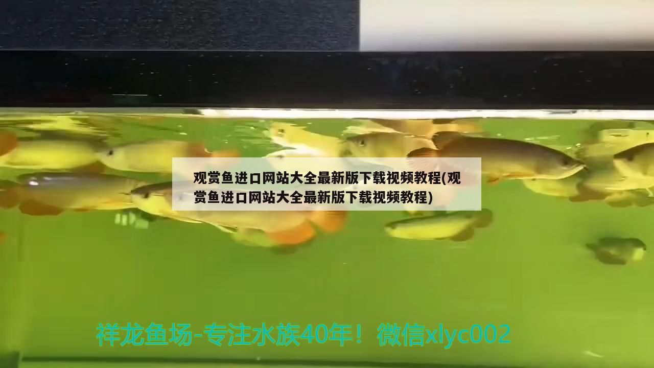 观赏鱼进口网站大全最新版下载视频教程(观赏鱼进口网站大全最新版下载视频教程) 观赏鱼进出口