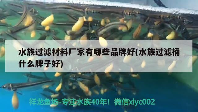 水族过滤材料厂家有哪些品牌好(水族过滤桶什么牌子好) 鱼缸等水族设备