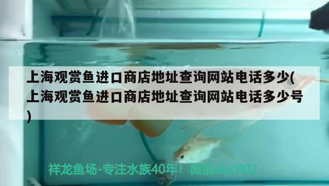 上海观赏鱼进口商店地址查询网站电话多少(上海观赏鱼进口商店地址查询网站电话多少号)