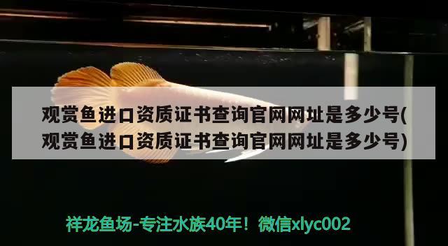 观赏鱼进口资质证书查询官网网址是多少号(观赏鱼进口资质证书查询官网网址是多少号)