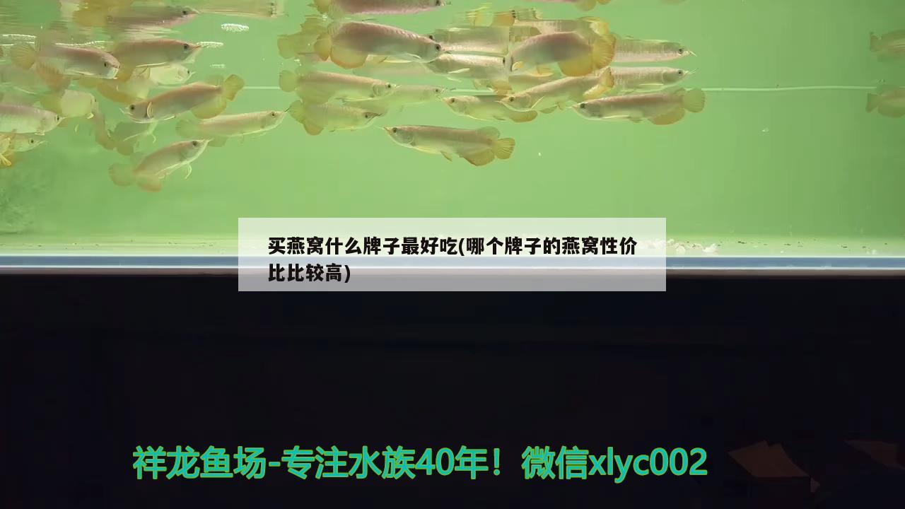 买燕窝什么牌子最好吃(哪个牌子的燕窝性价比比较高) 马来西亚燕窝