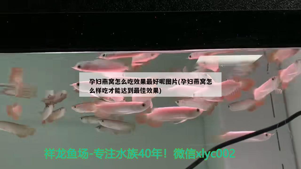 孕妇燕窝怎么吃效果最好呢图片(孕妇燕窝怎么样吃才能达到最佳效果)