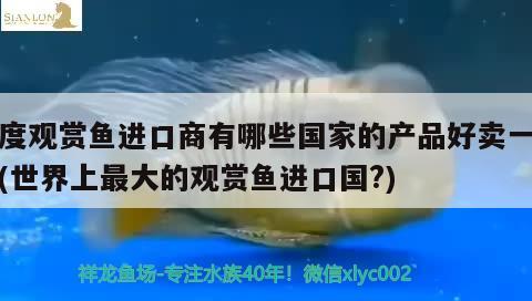 印度观赏鱼进口商有哪些国家的产品好卖一点呢(世界上最大的观赏鱼进口国?)