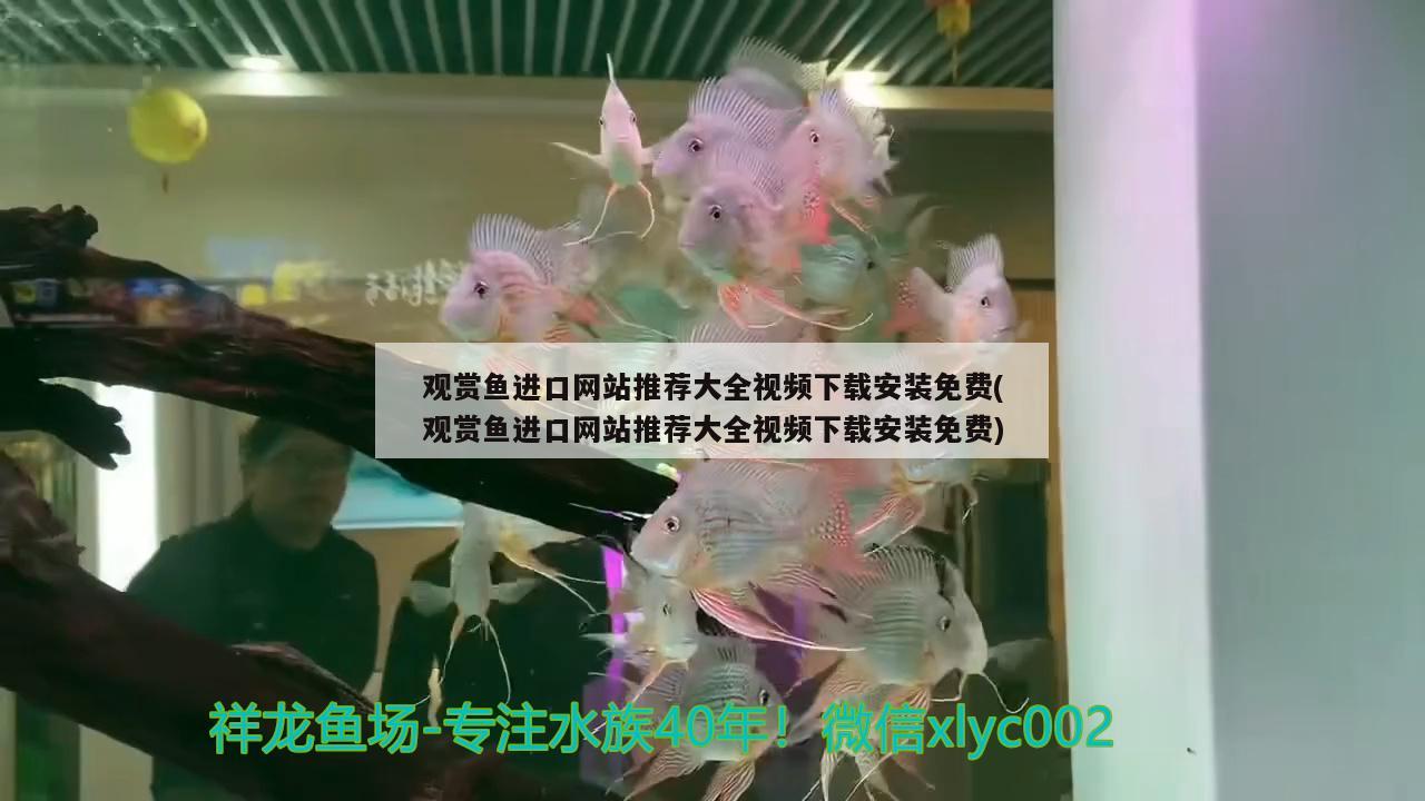 观赏鱼进口网站推荐大全视频下载安装免费(观赏鱼进口网站推荐大全视频下载安装免费) 观赏鱼进出口