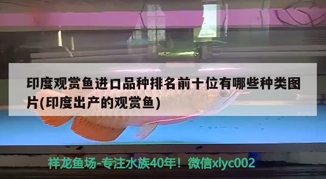 印度观赏鱼进口品种排名前十位有哪些种类图片(印度出产的观赏鱼)