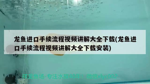 龙鱼进口手续流程视频讲解大全下载(龙鱼进口手续流程视频讲解大全下载安装)