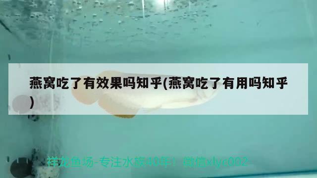 燕窝吃了有效果吗知乎(燕窝吃了有用吗知乎)