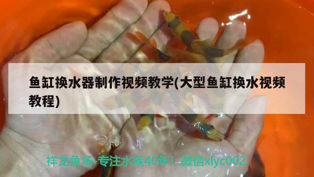 鱼缸换水器制作视频教学(大型鱼缸换水视频教程) 祥龙水族滤材/器材