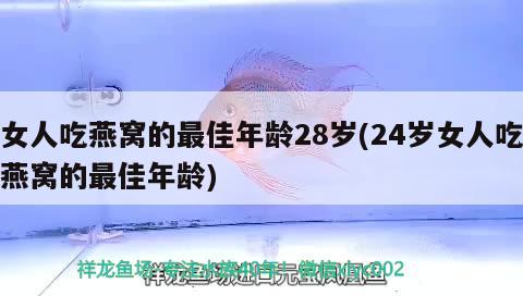 女人吃燕窝的最佳年龄28岁(24岁女人吃燕窝的最佳年龄)