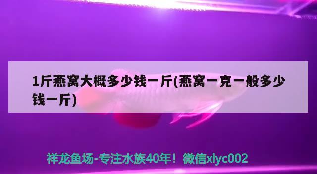 1斤燕窝大概多少钱一斤(燕窝一克一般多少钱一斤) 马来西亚燕窝